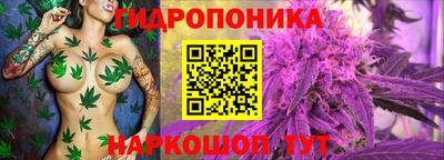 трава Абинск