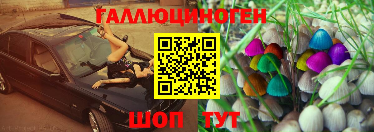Галлюциногенные грибы GOLDEN TEACHER Амурск