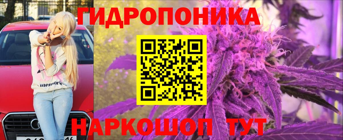 Шишки марихуана конопля  Марихуана MAZAR  Каннабис тримм  Амурск  Вход с VPN 